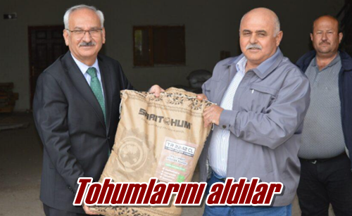 Tohumlarını aldılar