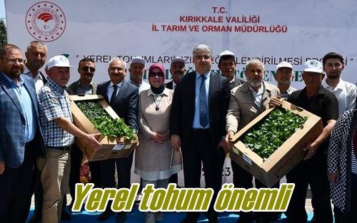 Yerel tohum önemli