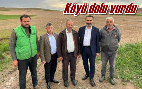 Köyü dolu vurdu