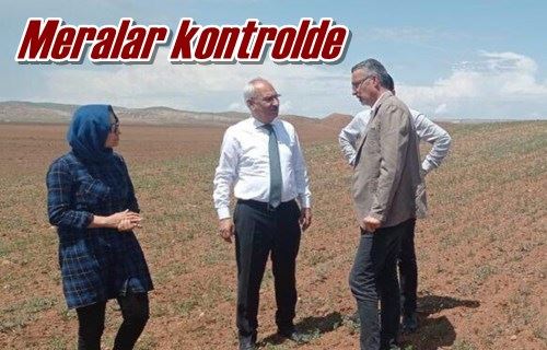 Meralar kontrolde