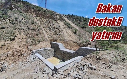 Bakan destekli yatırım