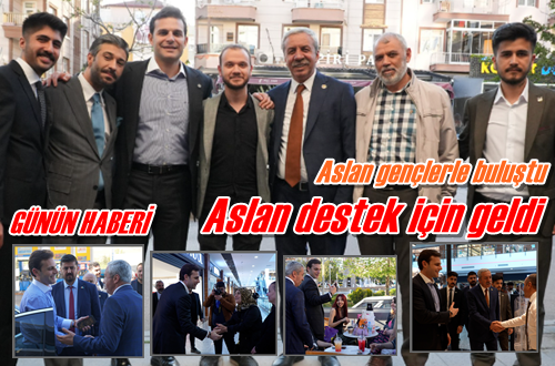 Aslan destek için geldi