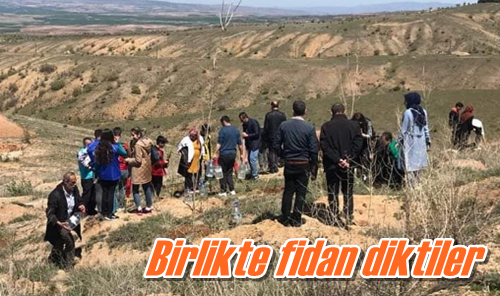 Birlikte fidan diktiler