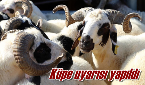 Küpe uyarısı yapıldı