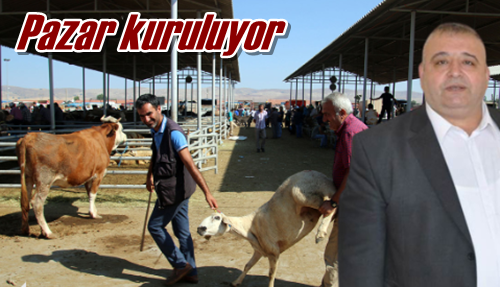 Pazar kuruluyor