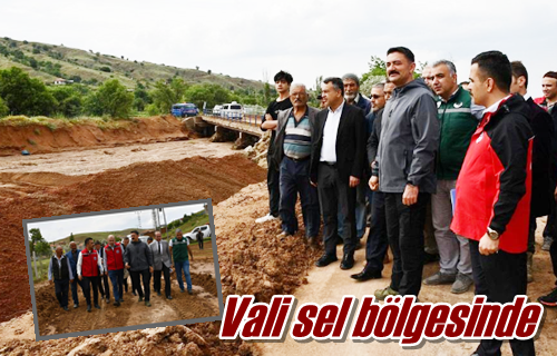 Vali sel bölgesinde