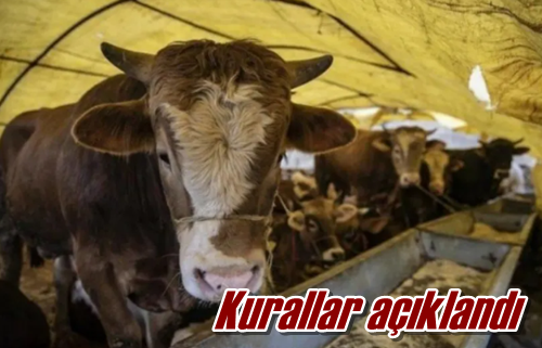 Kurallar açıklandı