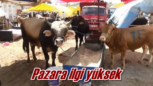 Pazara ilgi yüksek