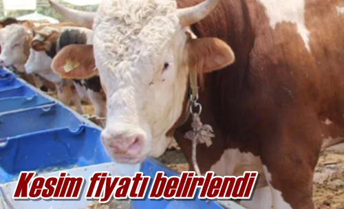 Kesim fiyatı belirlendi