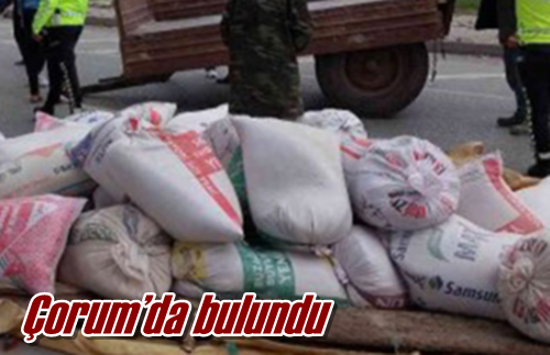 Çorum’da bulundu