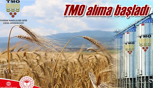 TMO alıma başladı