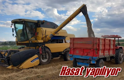 Hasat yapılıyor