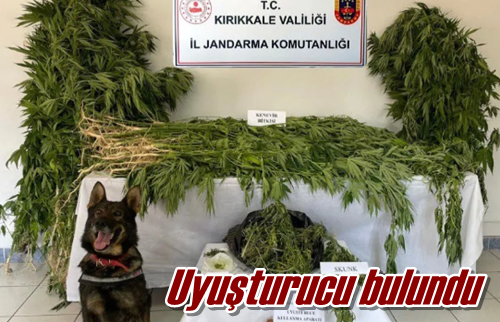 Uyuşturucu bulundu