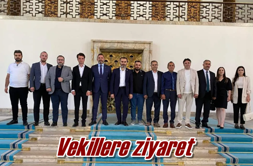 Vekillere ziyaret