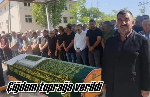 Çiğdem toprağa verildi