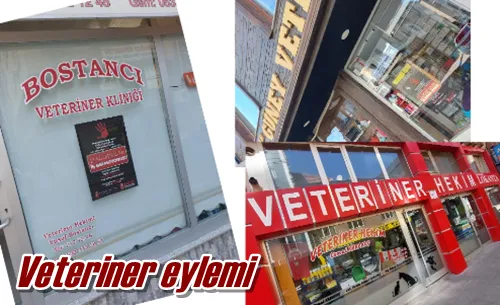 Veteriner eylemi