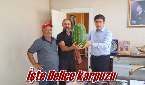 İşte Delice karpuzu