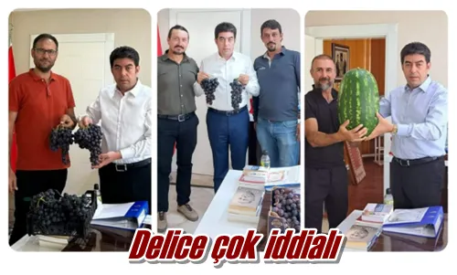 Delice çok iddialı