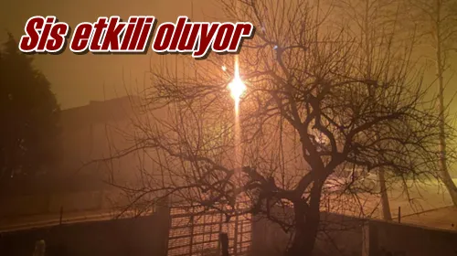 Sis etkili oluyor
