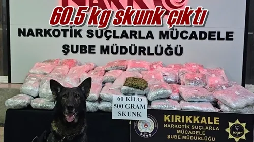 60.5 kg skunk çıktı