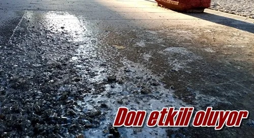 Don etkili oluyor