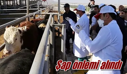 Şap önlemi alındı