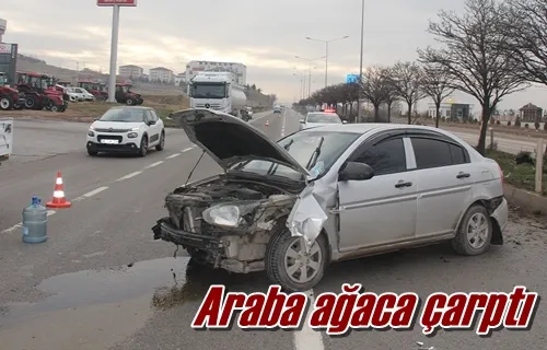 Araba ağaca çarptı