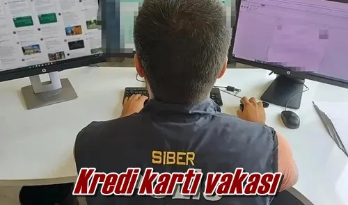 Kredi kartı vakası