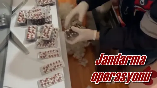 Jandarma operasyonu