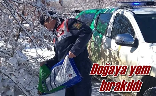 Doğaya yem bırakıldı