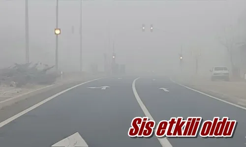 Sis etkili oldu