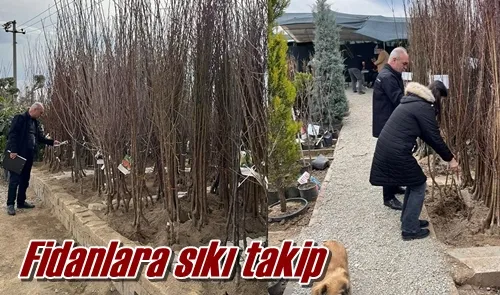 Fidanlara sıkı takip