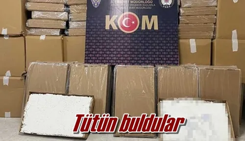 Tütün buldular