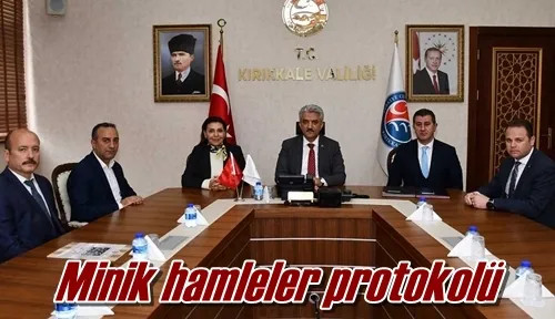 Minik hamleler protokolü