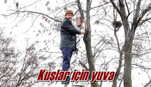 Kuşlar için yuva