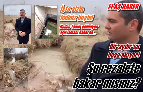 Şu rezalete bakar mısınız?