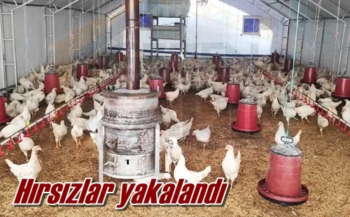 Hırsızlar yakalandı