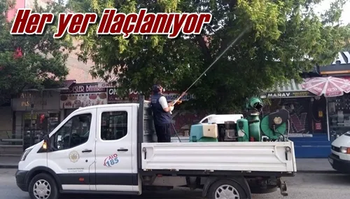 Her yer ilaçlanıyor