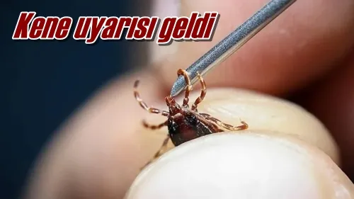 Kene uyarısı geldi