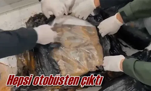 Hepsi otobüsten çıktı