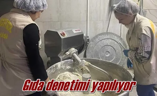 Gıda denetimi yapılıyor