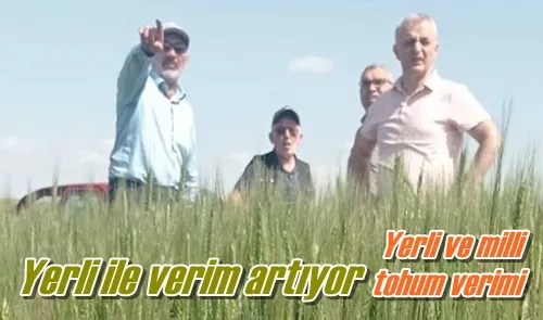 Yerli ile verim artıyor