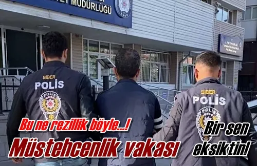 Müstehcenlik vakası