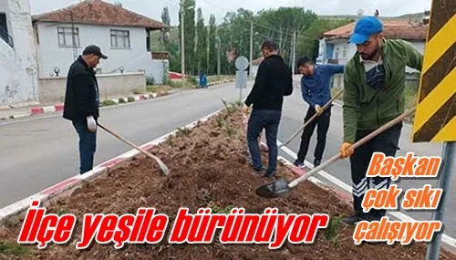 İlçe yeşile bürünüyor