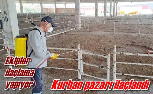 Kurban pazarı ilaçlandı