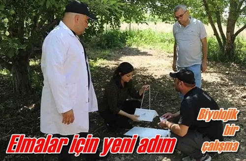 Elmalar için yeni adım