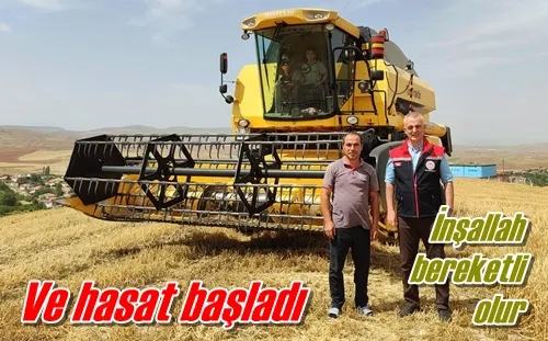 Ve hasat başladı