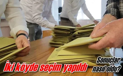 İki köyde seçim yapıldı