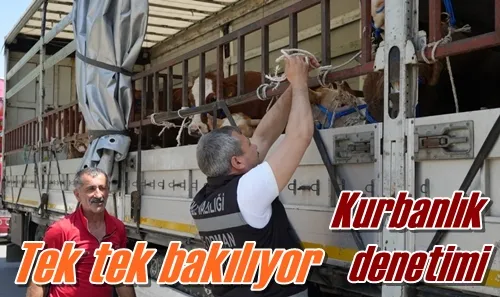 Tek tek bakılıyor