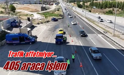405 araca işlem